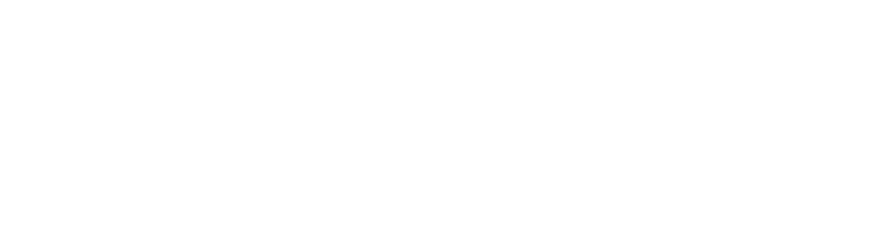 Formula GT Experience ®